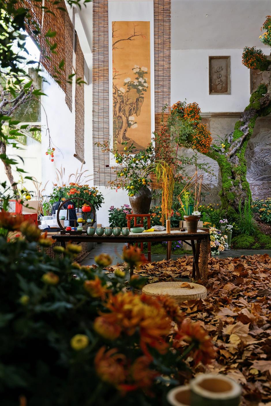 Mums the word at Hangzhou Botanic Garden