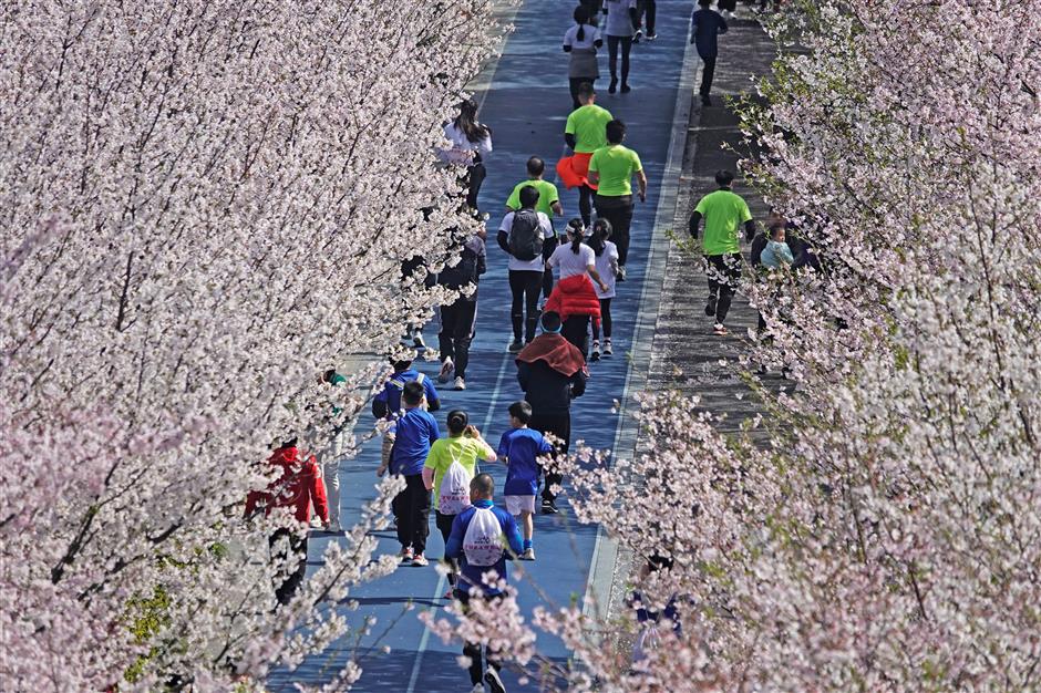 Cherry blossom running fuses vitality and sport ahead of Asian Games