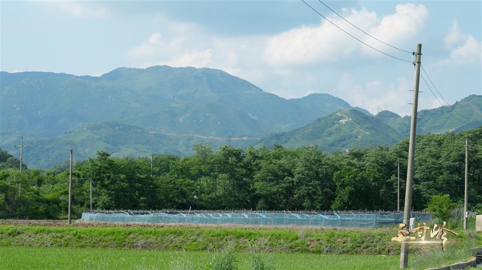 Documentary series focuses on the Battle on Shangganling Mountain